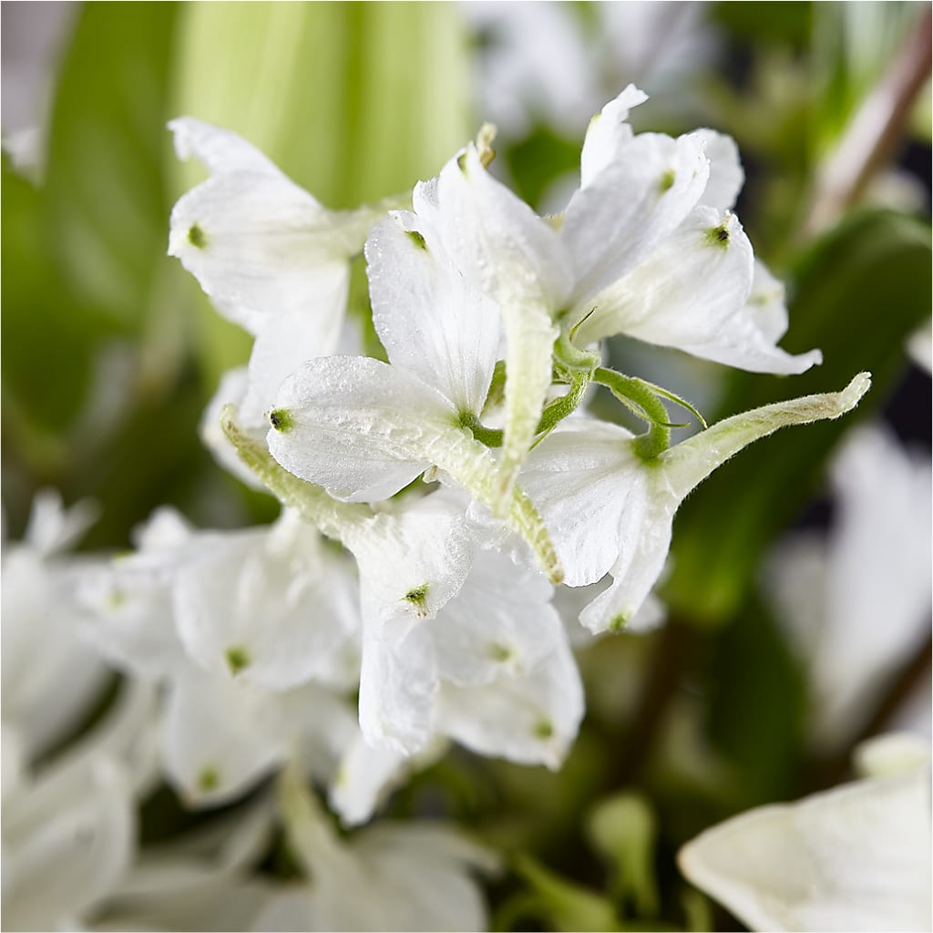 Classic Ivory – A Florist Original – LEE'S FLORIST & GREENHOUSE, Center Line MI