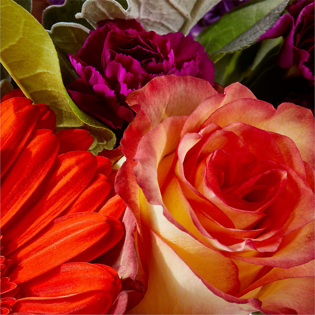 Sangria Bouquet – LEE'S FLORIST & GREENHOUSE, Center Line MI