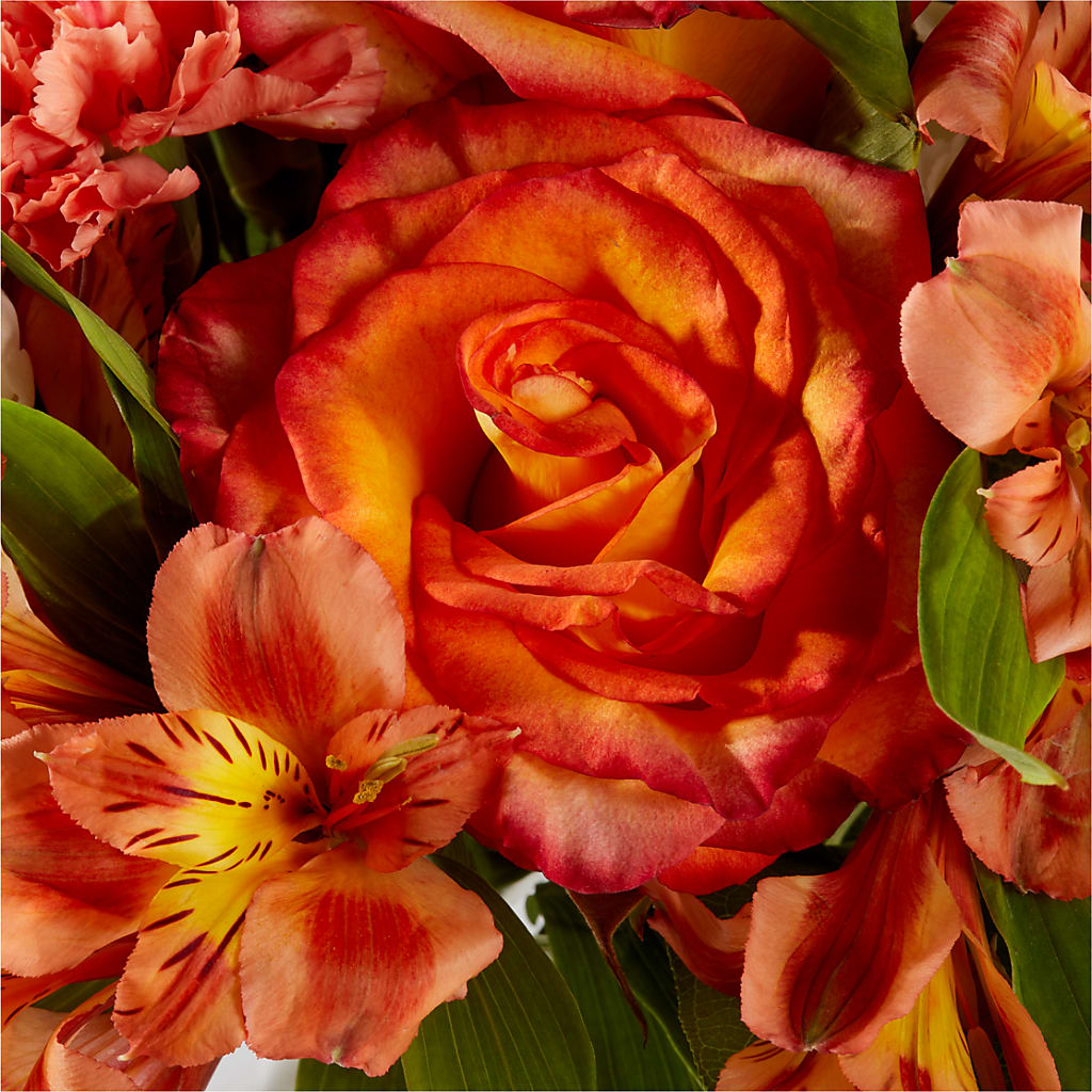 Apricot Glow Bouquet – LEE'S FLORIST & GREENHOUSE, Center Line MI