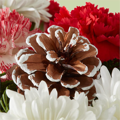 Candy Cane Lane Bouquet – LEE'S FLORIST & GREENHOUSE, Center Line MI