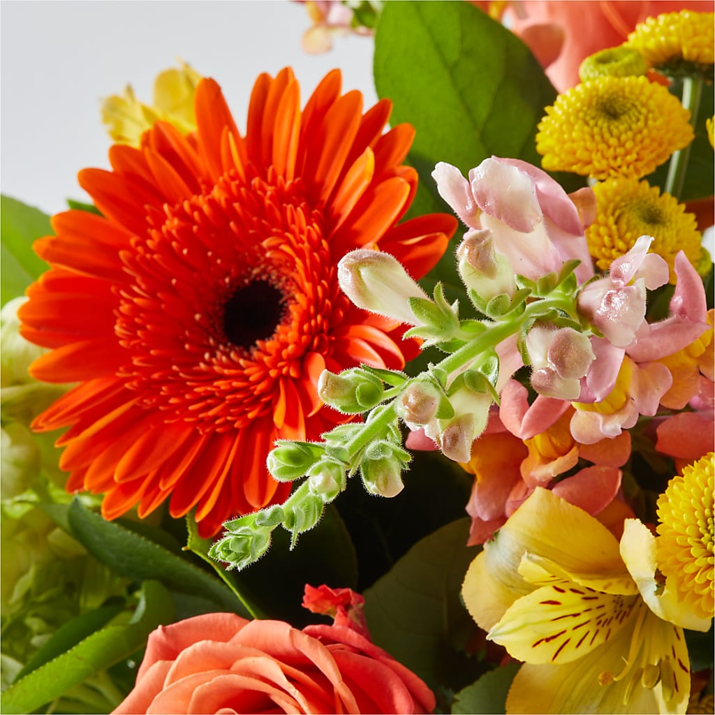 Autumn Sunshine Bouquet – LEE'S FLORIST & GREENHOUSE, Center Line MI