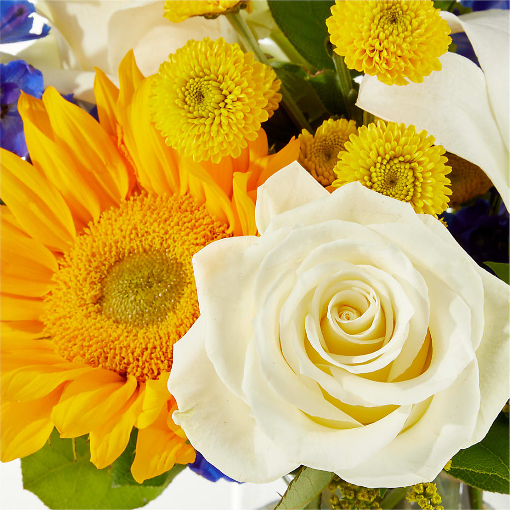 Stargazing Bouquet – LEE'S FLORIST & GREENHOUSE, Center Line MI