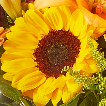 Seasons Change Bouquet – LEE'S FLORIST & GREENHOUSE, Center Line MI