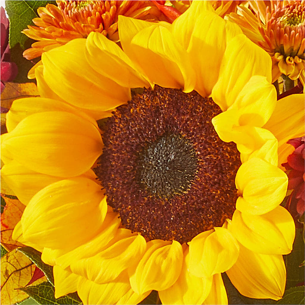 Sunny Side Bouquet – LEE'S FLORIST & GREENHOUSE, Center Line MI