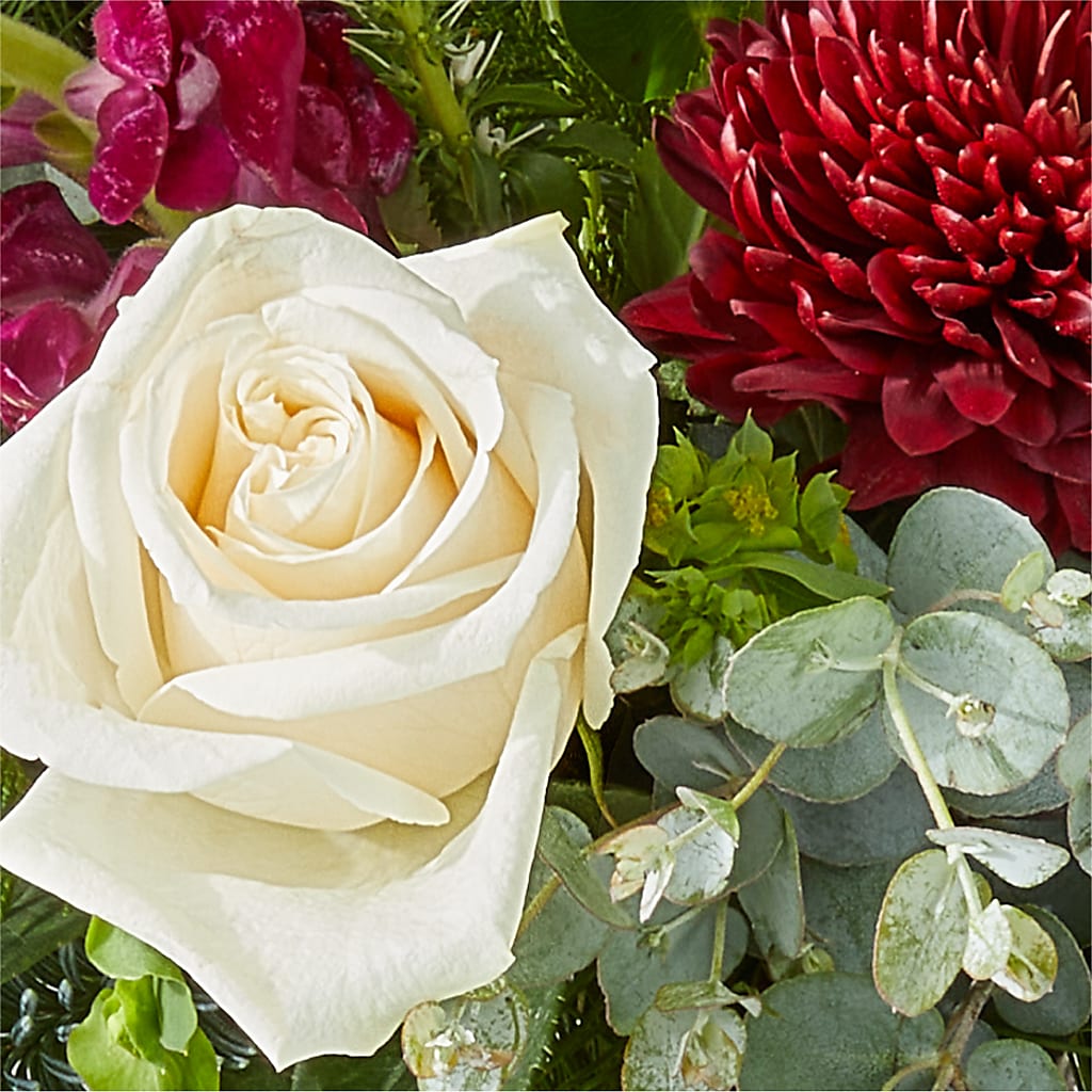 Cranberry Fizz Bouquet – LEE'S FLORIST & GREENHOUSE, Center Line MI