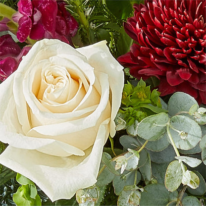 Cranberry Fizz Bouquet – LEE'S FLORIST & GREENHOUSE, Center Line MI