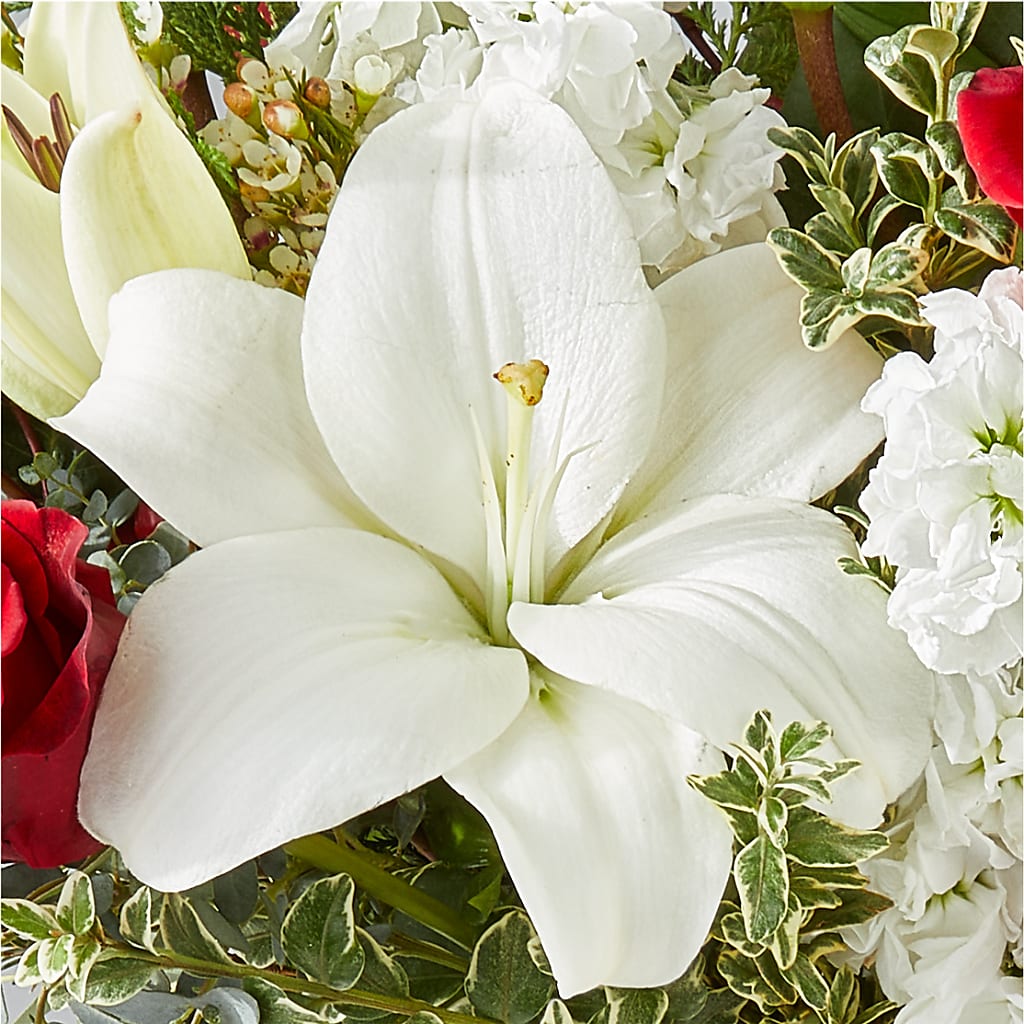 Twinkle Lights Bouquet – LEE'S FLORIST & GREENHOUSE, Center Line MI