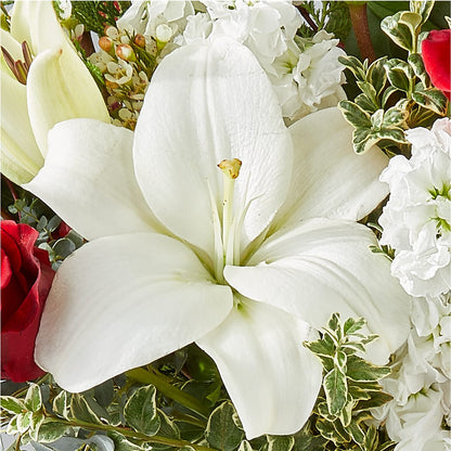 Twinkle Lights Bouquet – LEE'S FLORIST & GREENHOUSE, Center Line MI