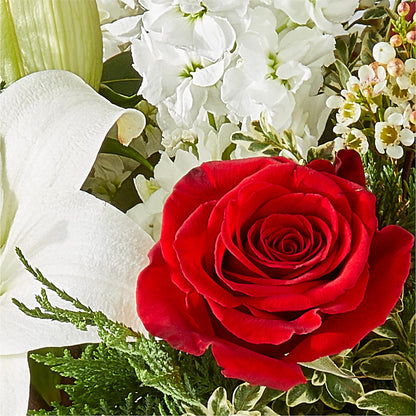 Twinkle Lights Bouquet – LEE'S FLORIST & GREENHOUSE, Center Line MI