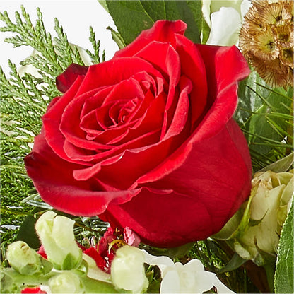 Deck the Halls Bouquet – LEE'S FLORIST & GREENHOUSE, Center Line MI