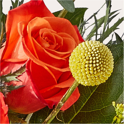 Disco Bouquet – LEE'S FLORIST & GREENHOUSE, Center Line MI