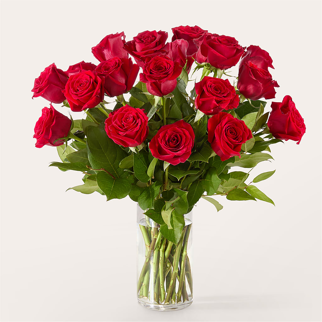 The One Red Rose Bouquet – LEE'S FLORIST & GREENHOUSE, Center Line MI