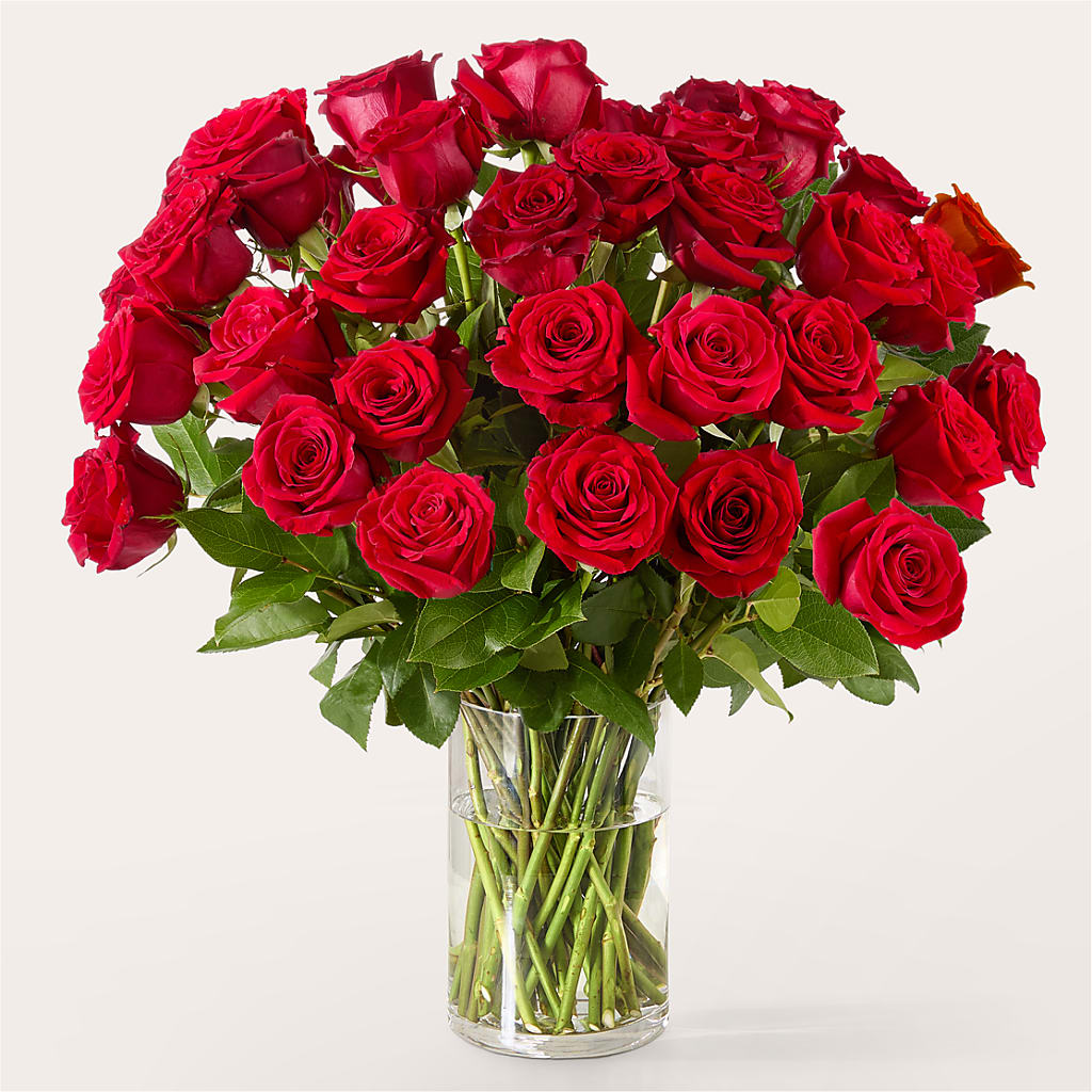 The One Red Rose Bouquet – LEE'S FLORIST & GREENHOUSE, Center Line MI