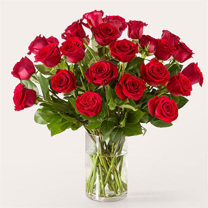 The One Red Rose Bouquet – LEE'S FLORIST & GREENHOUSE, Center Line MI