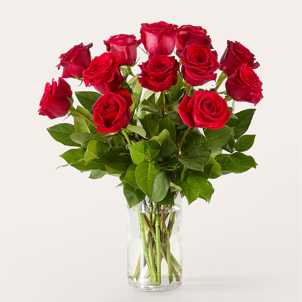 The One Red Rose Bouquet – LEE'S FLORIST & GREENHOUSE, Center Line MI