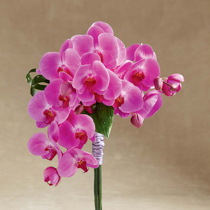 Glorious Bouquet – LEE'S FLORIST & GREENHOUSE, Center Line MI