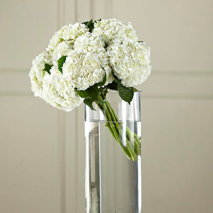 White Hydrangea Hand-Tied Bouquet – LEE'S FLORIST & GREENHOUSE, Center Line MI