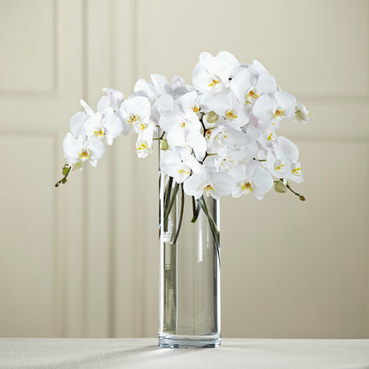 White Phalaenopsis Bouquet – LEE'S FLORIST & GREENHOUSE, Center Line MI