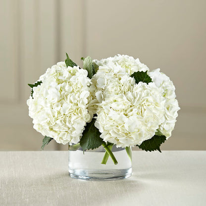 White Hydrangea Bouquet – LEE'S FLORIST & GREENHOUSE, Center Line MI